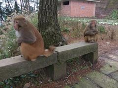 -重庆雨台山风景区