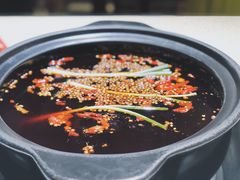 -钢管厂五区小郡肝火锅串串香(总店)