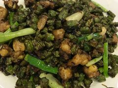 榄菜膝软骨-同心阁