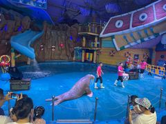 -烟台海昌鲸鲨海洋公园