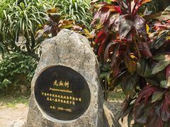 -中国科学院西双版纳热带植物园