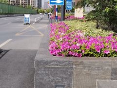 -老城南.鸭血粉丝汤(夫子庙店)