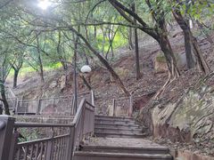 -龙泉洞(沙坪坝区)