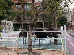 -灵玲国际马戏城