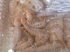 -山海经·海边人家 海鲜新青岛菜(扬州路店)