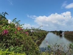 -芒洲湿地公园
