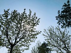 -扬州天乐湖嬉乐谷