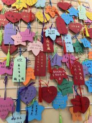点击看大图 -北京爱育华医院-医疗美容科