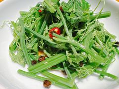 木姜子拌丝瓜尖-一坐一忘云南菜(北京skp店)