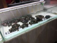 -海盗餐厅