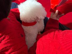 -爪吧宠物乐园 (温榆河示范区店)