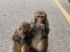 -黔灵山公园