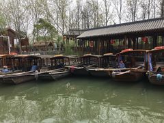 -溱湖国家湿地公园