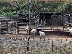 -北京山里寒舍度假酒店