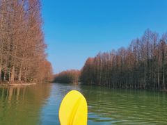 -上海海湾国家森林公园