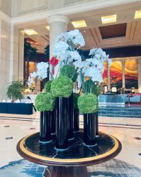 -光大会展中心国际大酒店-宴会厅