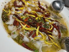 -太二酸菜鱼(沈阳万象城店)