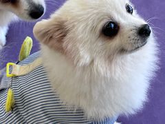 -怪兽屋·羊驼·猫咖·狗咖(俊华广场店)