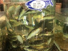 -鞍山大白鲨美食酒店