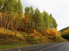 -塞罕坝国家级自然保护区