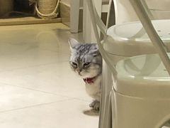 -小时光咖啡馆(开森度假森林店)