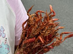 -霸王虾·麻辣小龙虾(清水河公园店)