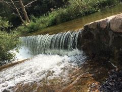 -招虎山国家森林公园-售票处