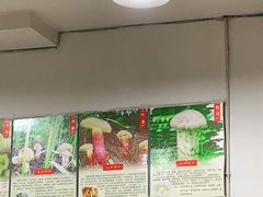 -江川野生菌火锅铜锅鱼(贵清火锅店)
