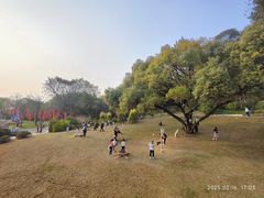 -云溪植物园