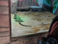 -石家庄市动物园