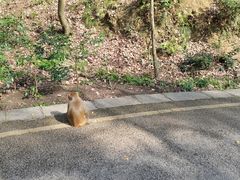 -黔灵山公园