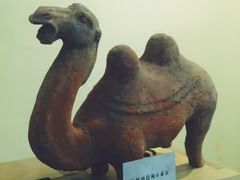 -古陶文明博物馆