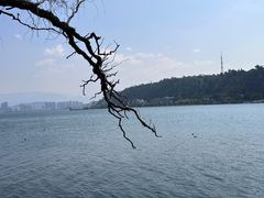 -洱海月湿地公园