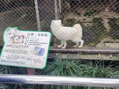 -杭州动物园