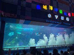-泉城欧乐堡海洋极地世界