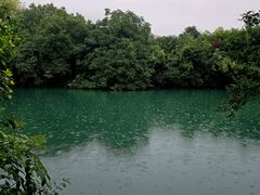 -龙坞茶村