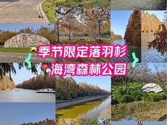 -上海海湾国家森林公园