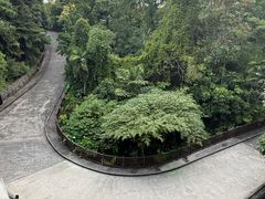 -圣淘沙天际线斜坡滑车