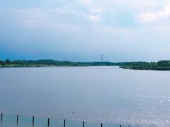 -东滩湿地公园观海楼餐厅