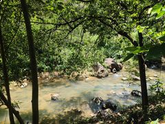 -广州白江湖森林公园