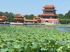 -南戴河国际娱乐中心