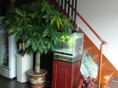 -繁花足道(梅江店)