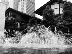 -Apple零售店(成都太古里店)