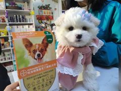 -王允海动物医院(中央大街店)