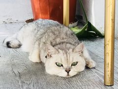 -小时光咖啡馆(北锣鼓巷店)
