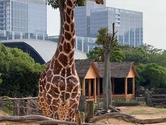 -杭州野生动物世界