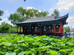 -济南大明湖景区