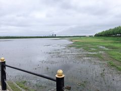 -呼兰河口湿地公园