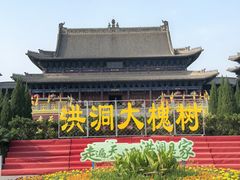 -大槐树寻根祭祖园