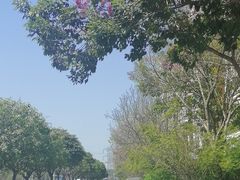 -深圳观澜格兰云天国际酒店